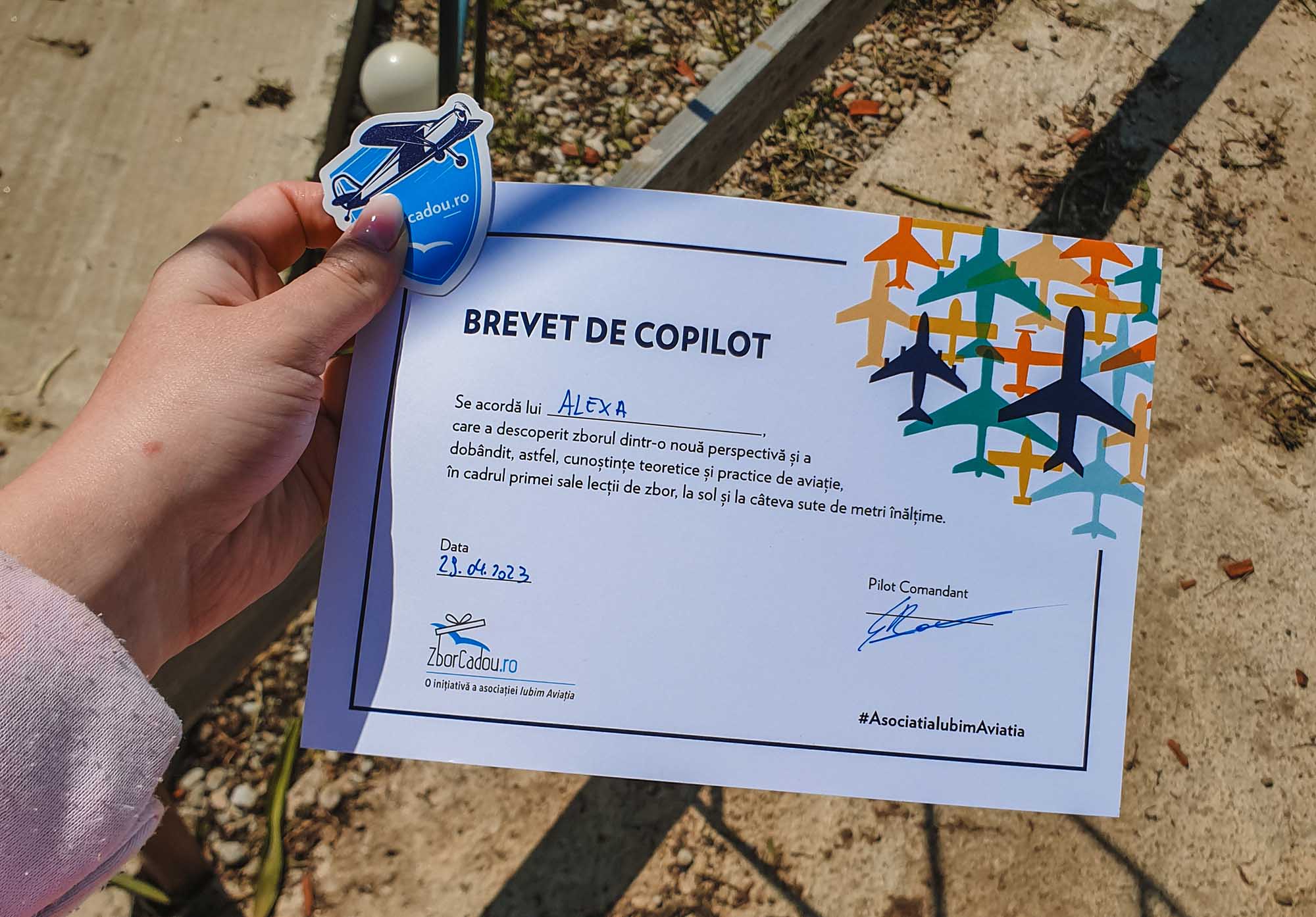 zbor avion copilot romania experienta cadou 8