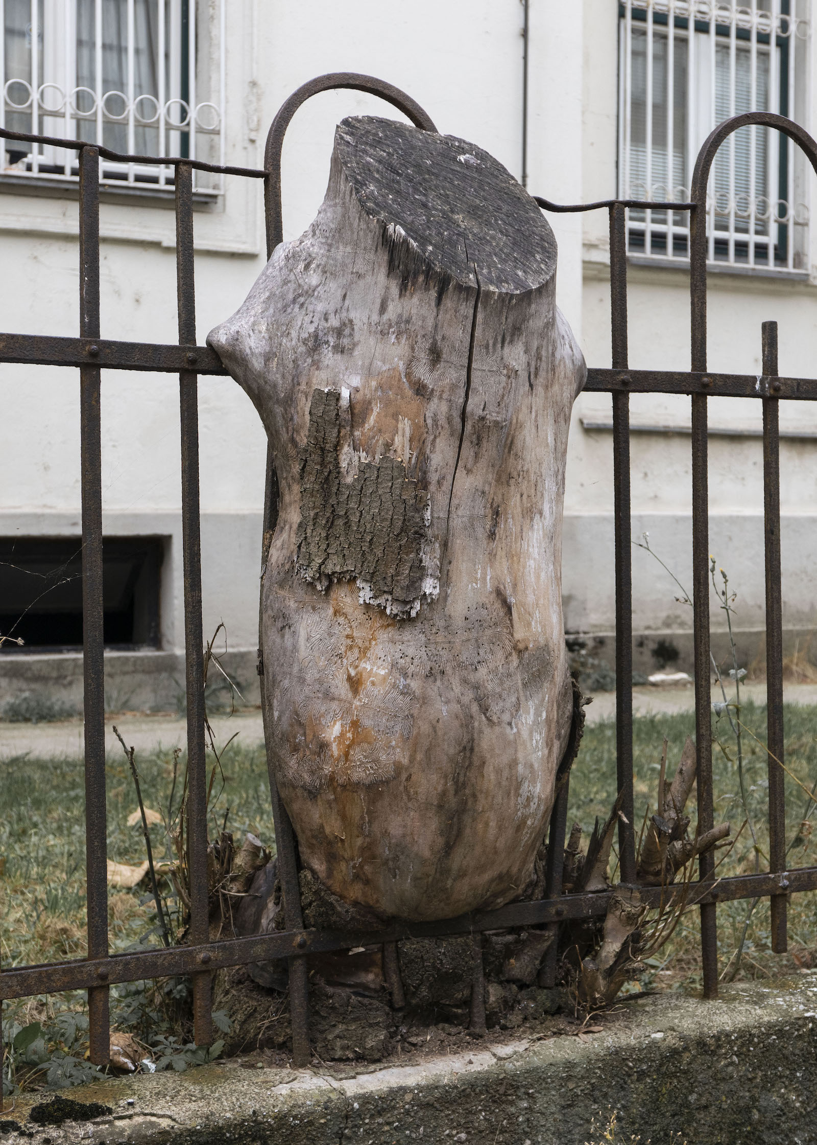 Een BUBO in Sarajevo