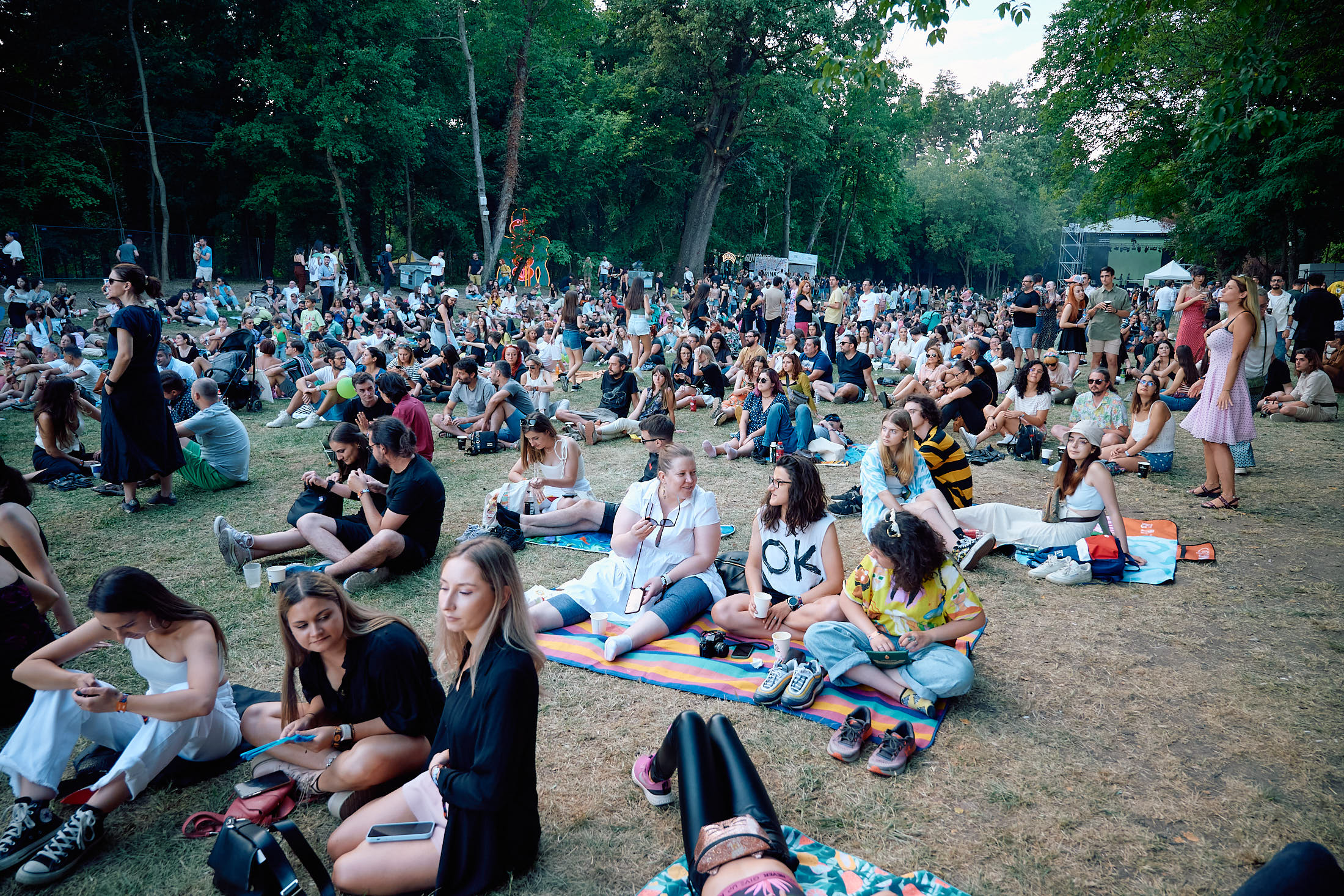 Summer Well 2023 2.jpg