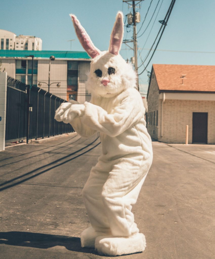 kenny-eliason-I-ofPq3MBg4-unsplash