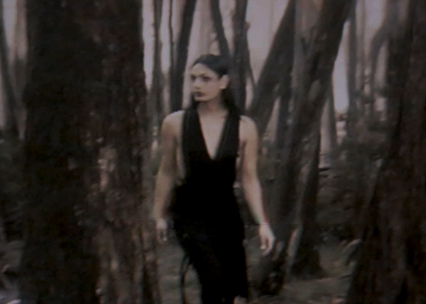 VHS STILL –