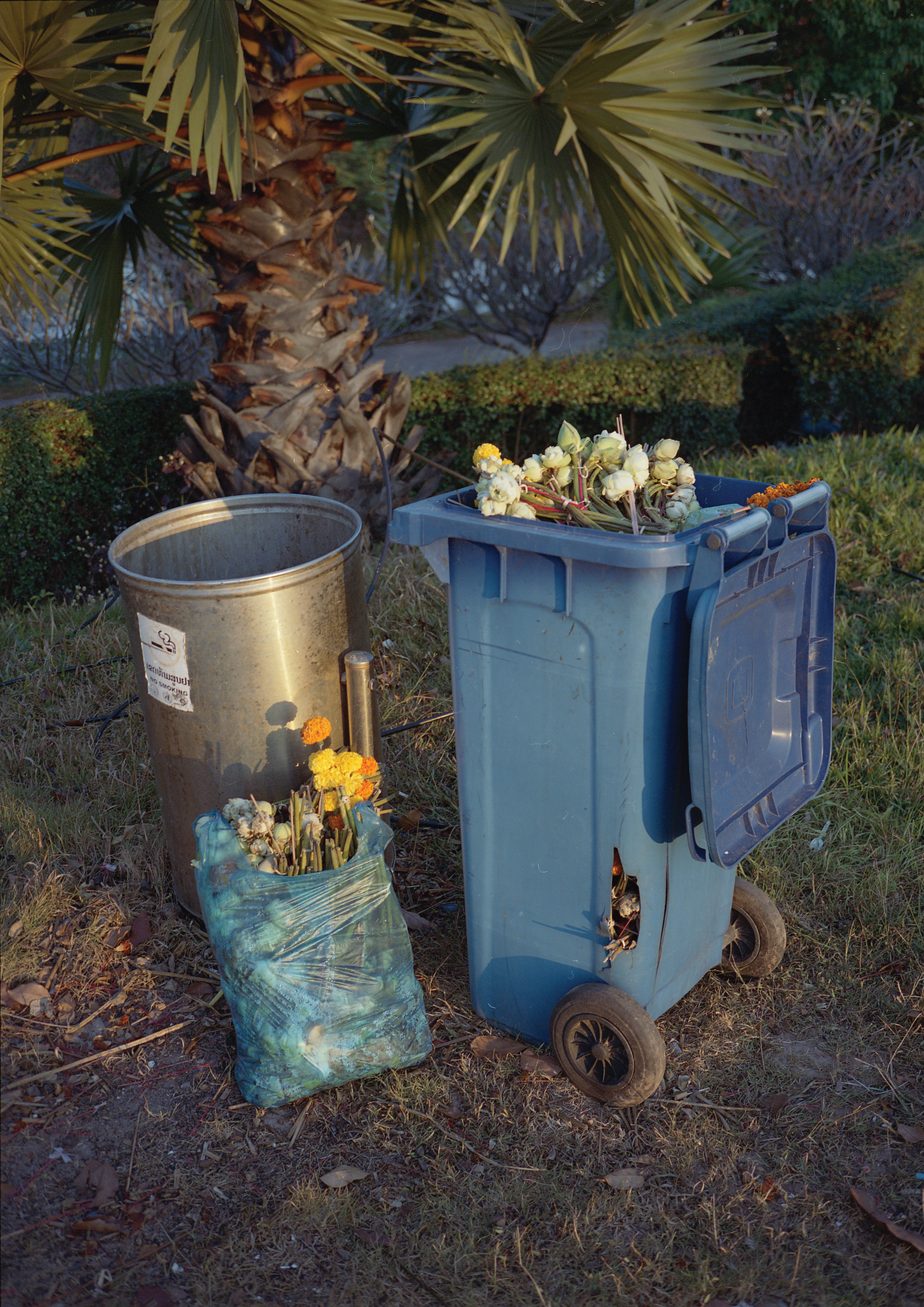 Bin filled with flowers