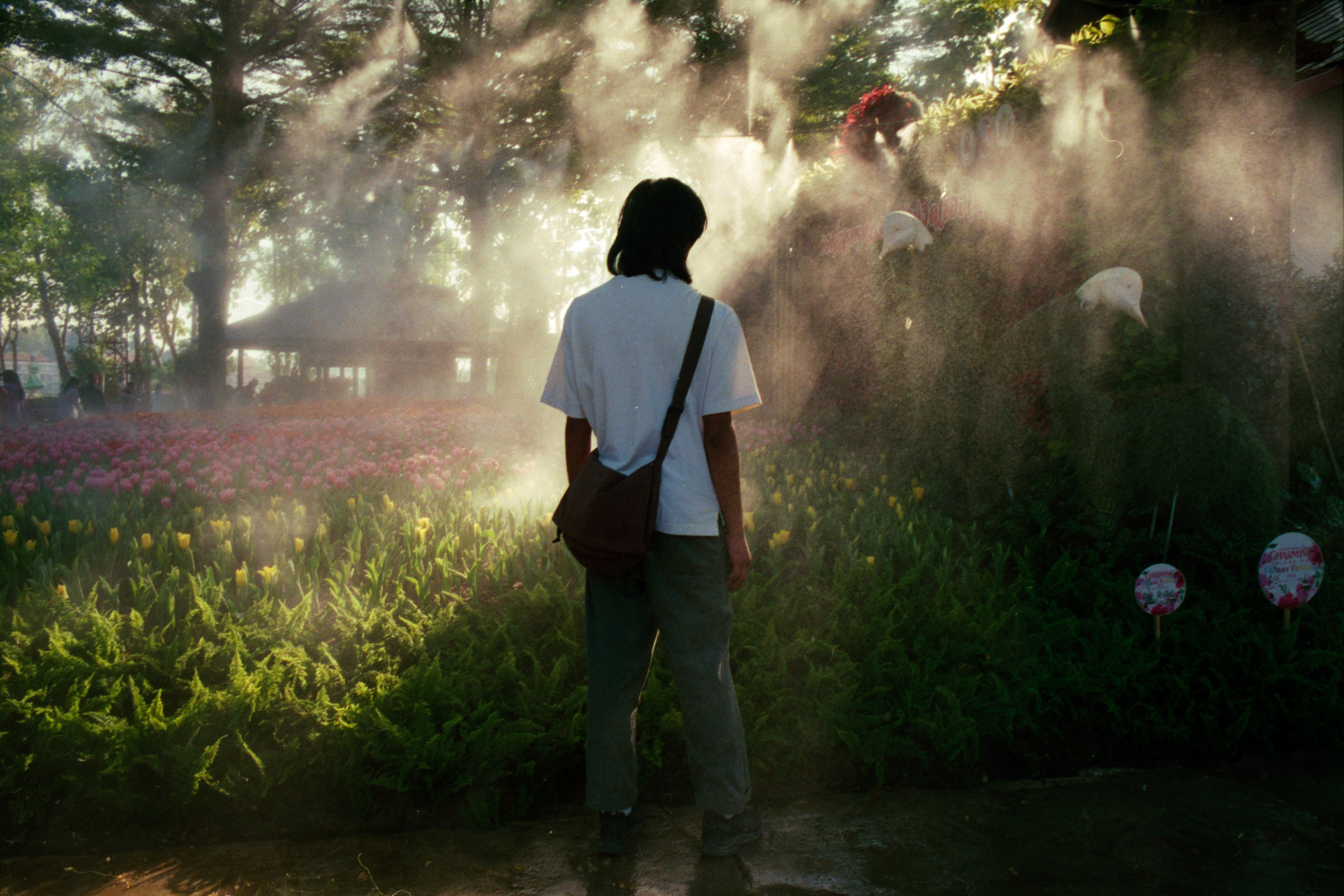 Man stands amongst greenery