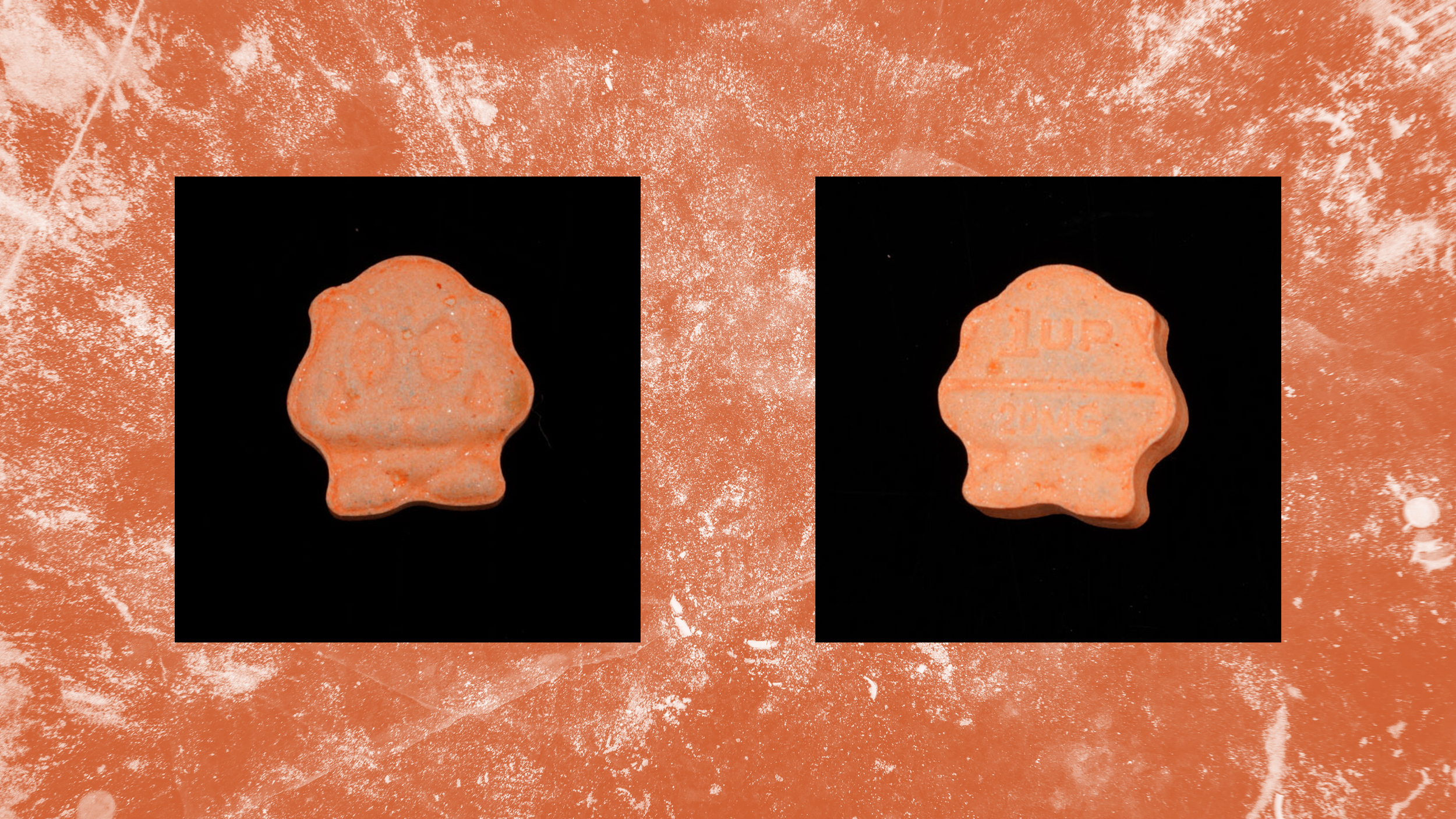 orange-1up.jpg