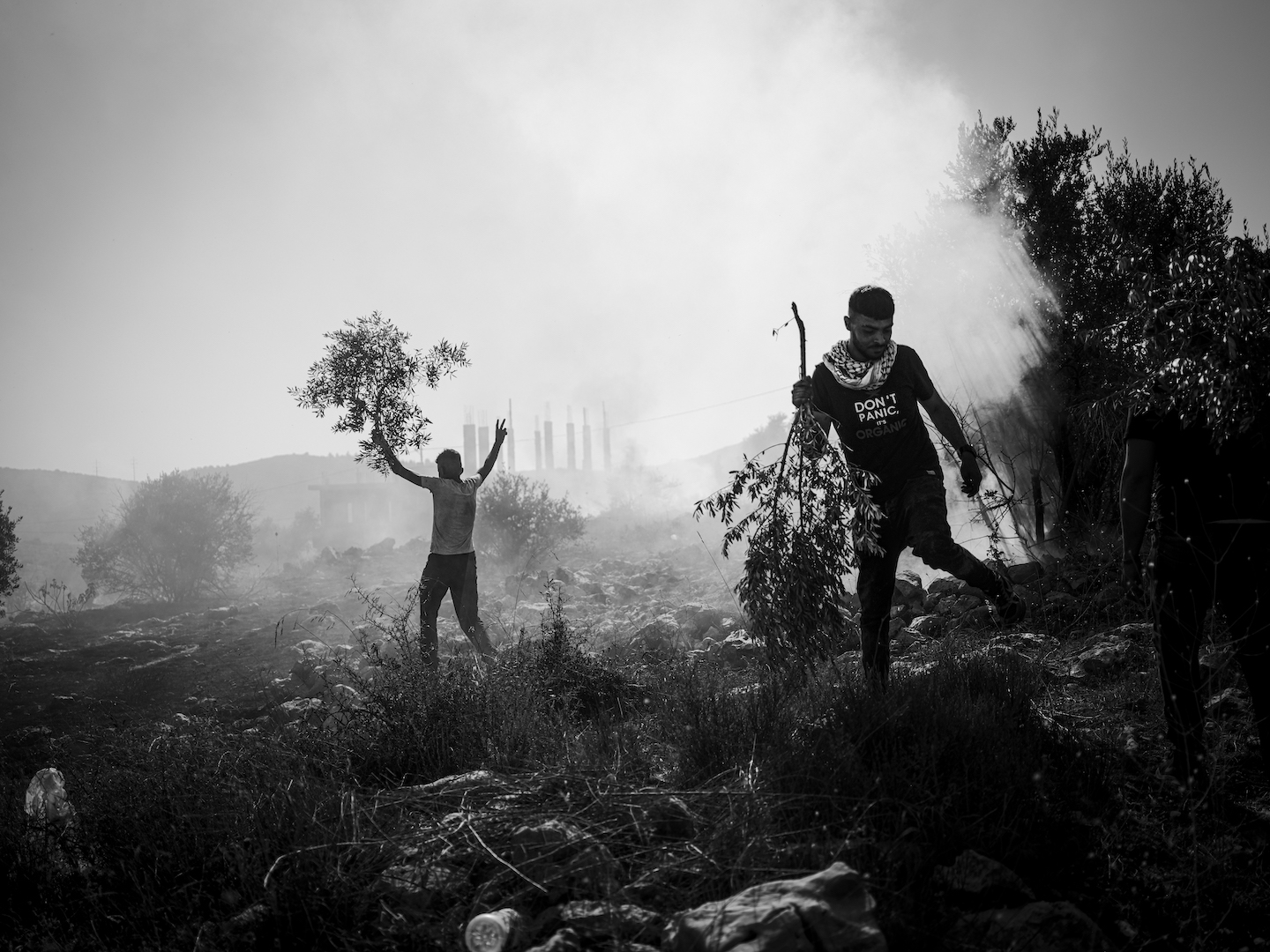 Two men holding tree branches scamper through the undergrowth as clouds of tear gas fill the scene.