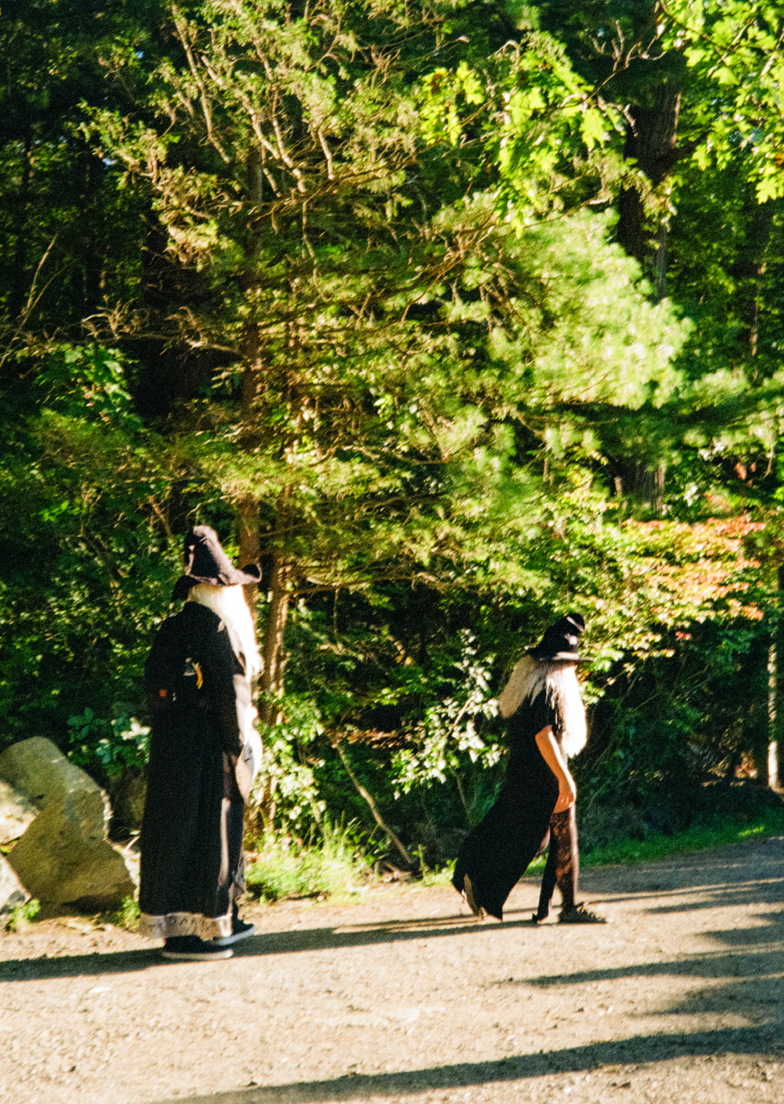 Wizards in the woods at a renaissance faire in new york