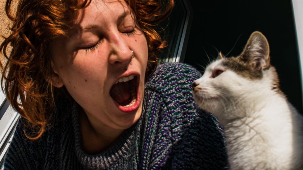 Am încercat s-adopt o pisică în România și mi-ar fi fost mai ușor să-mi iau doctoratul