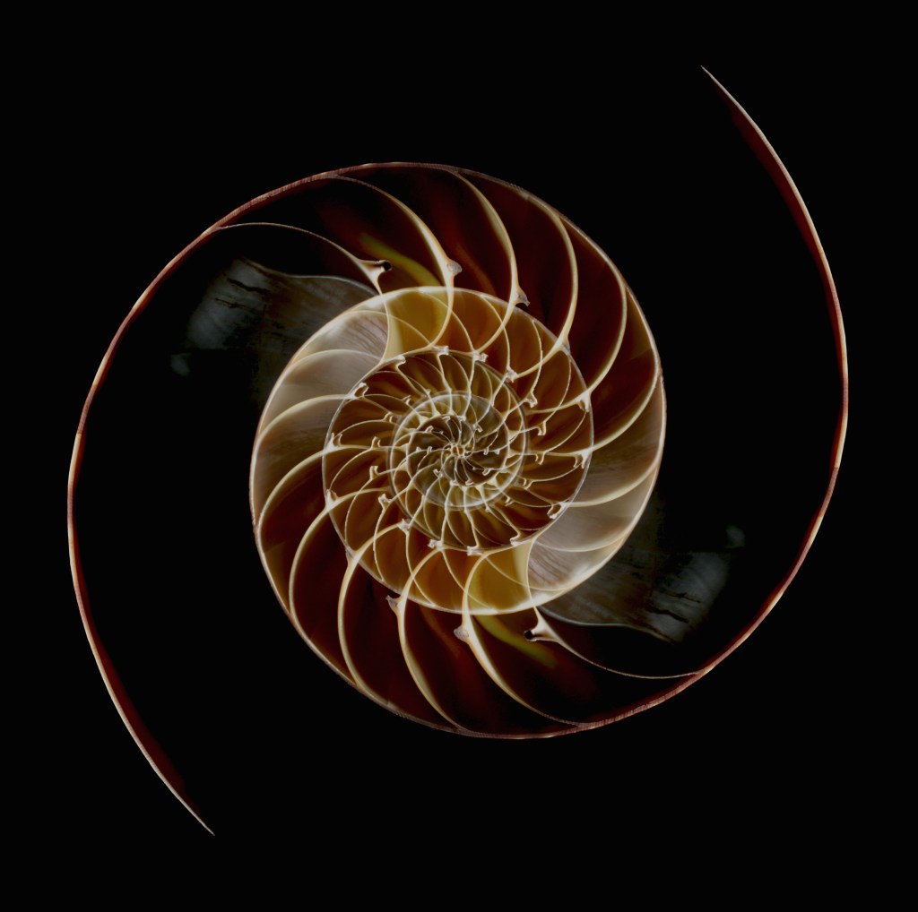 Deze ‘missende natuurwet’ verklaart hoe alles in het universum is geëvolueerd, inclusief wij