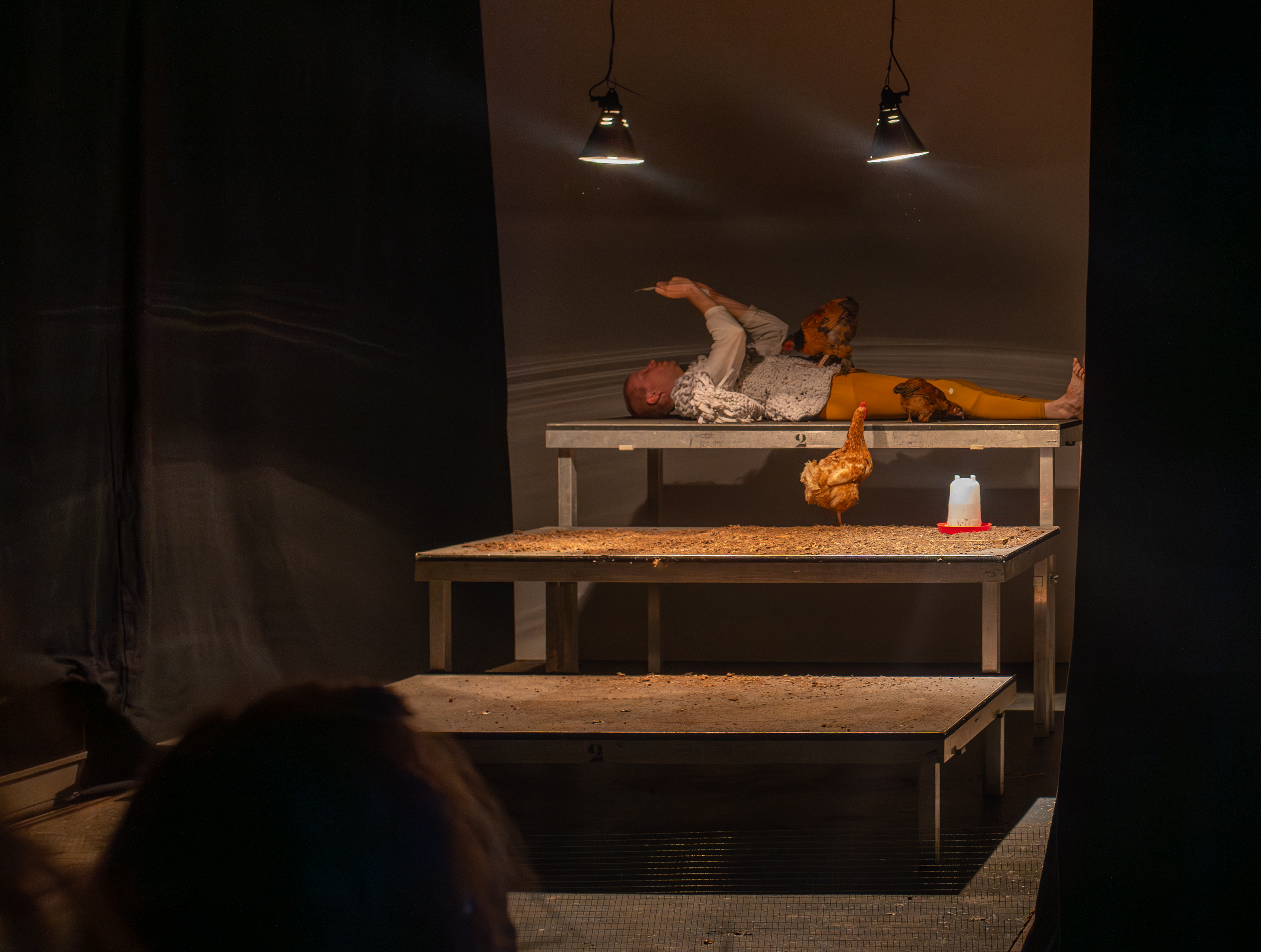 Man lying down on stairs scaffolding, holding up a letter in front of his face and reading it. One chicken is on top of him and two others are next to him.