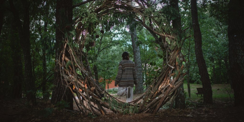 The Israelis and Palestinians Doing Ayahuasca Together