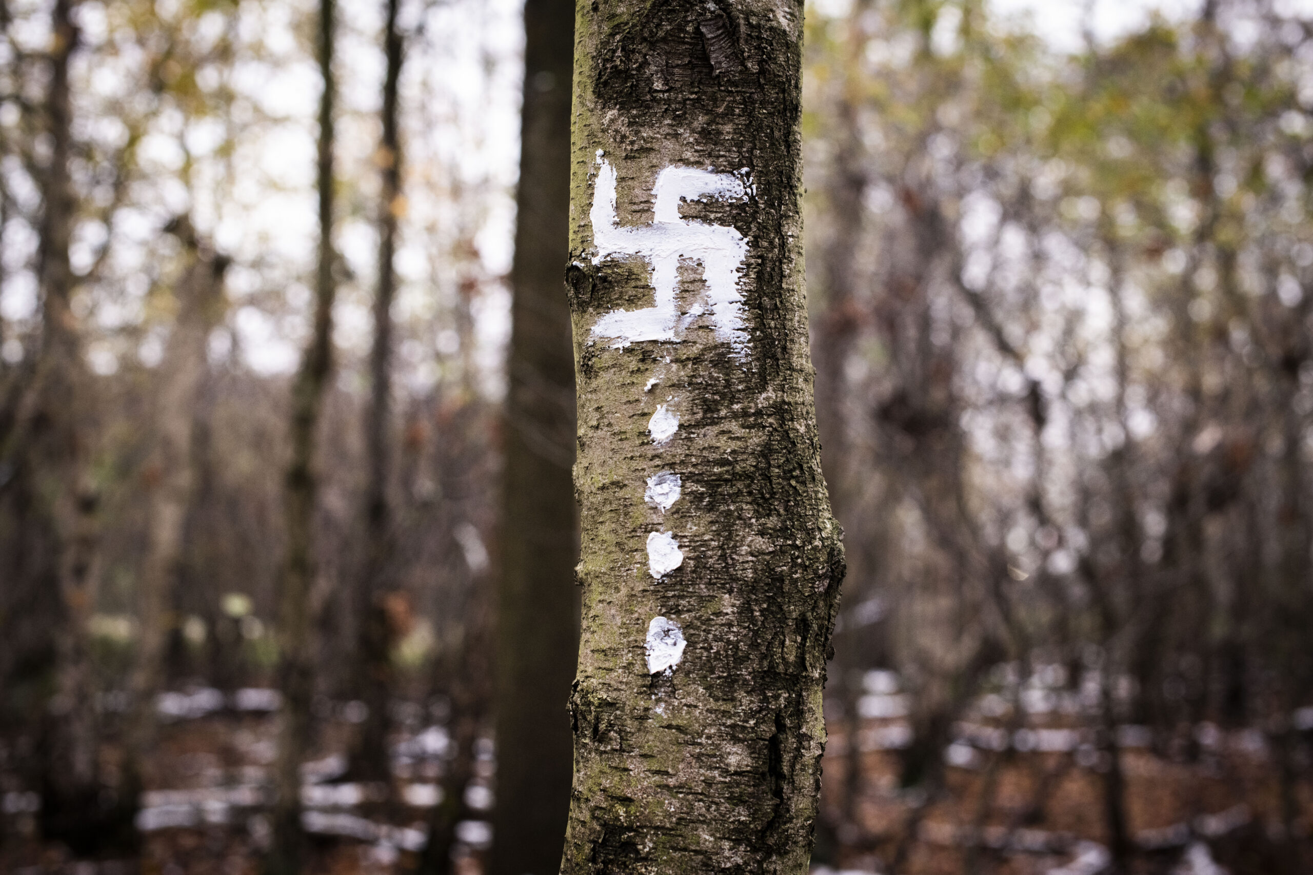 Swastika gemaakt van tandpasta