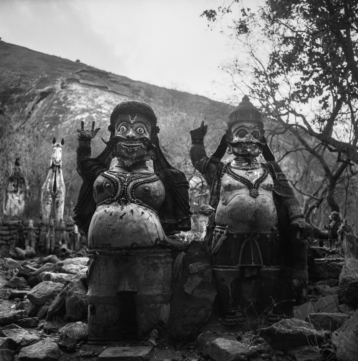 Dravidian Catharsis (3).jpg