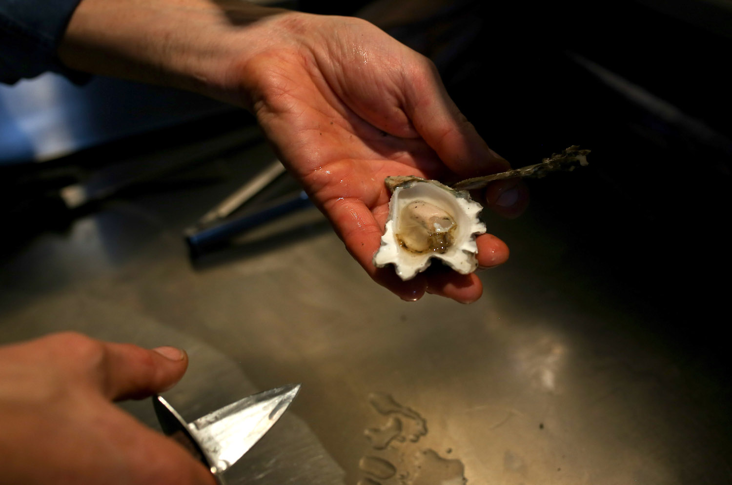 1561388364889-oyster-shucking-2