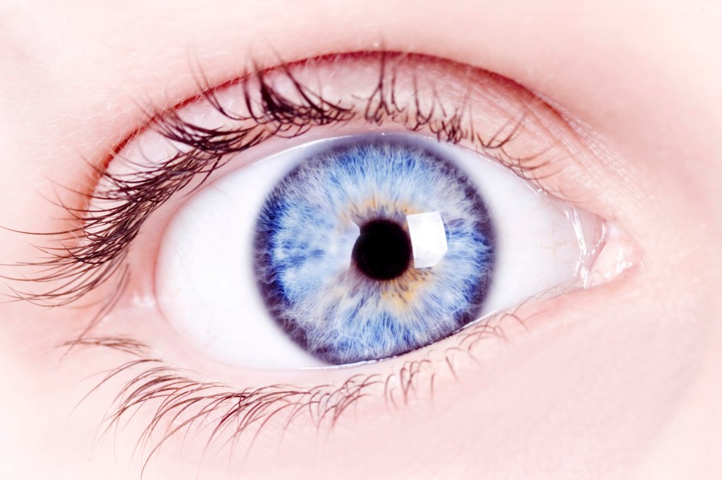 I Asked an Expert: Is the Blue You See the Same As the Blue I See?