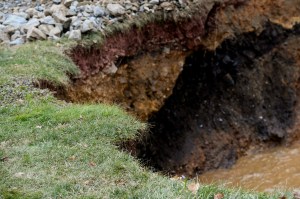 grandma-swallowed-by-sinkhole-search-lost-cat
