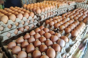 cops-still-have-no-idea-who-stole-100000-eggs