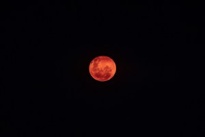 you-might-be-able-to-witness-a-total-lunar-eclipse-in-march