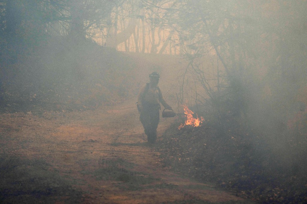Black Cove Fire
