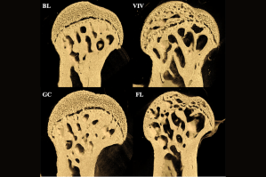 nasa-sent-mice-to-space-and-said-it-really-messed-up-their-bones