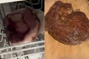want-a-perfectly-cooked-rare-steak-toss-it-in-the-dishwasher