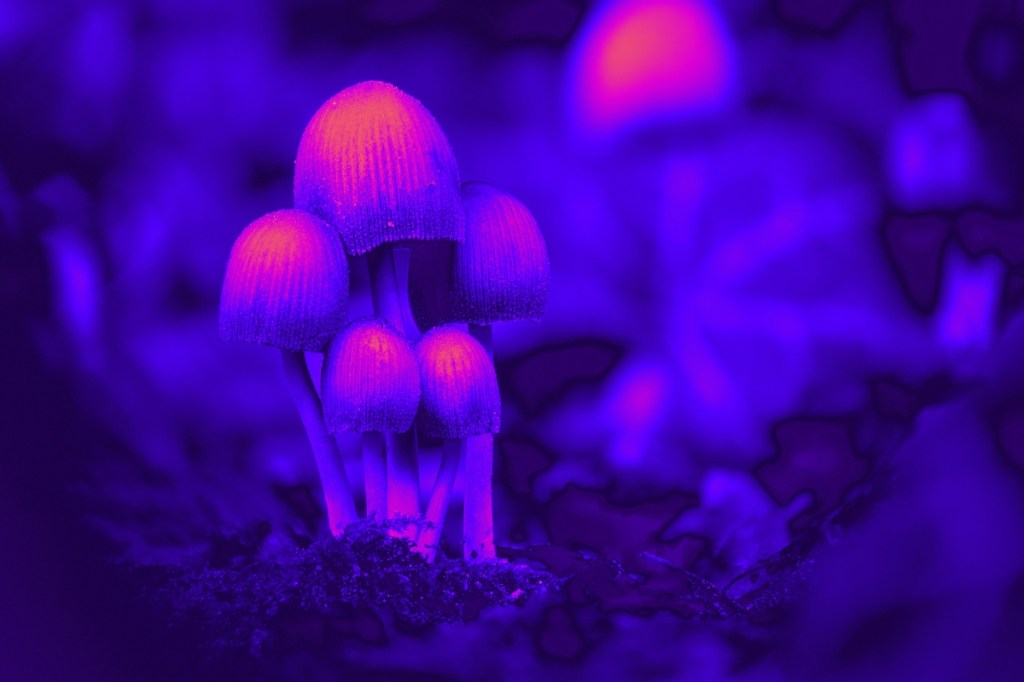 Archaeologists Found Evidence of Ancient Psychedelic Rituals in Peru