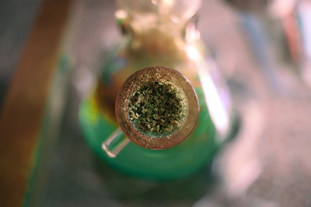 Indica Vs. Sativa Vs. Hybrid: The Ultimate Stoner Showdown