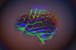 your-brain-wasnt-built-to-be-watched-this-much-study-warns