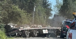 14-million-honeybees-escape-after-truck-overturns