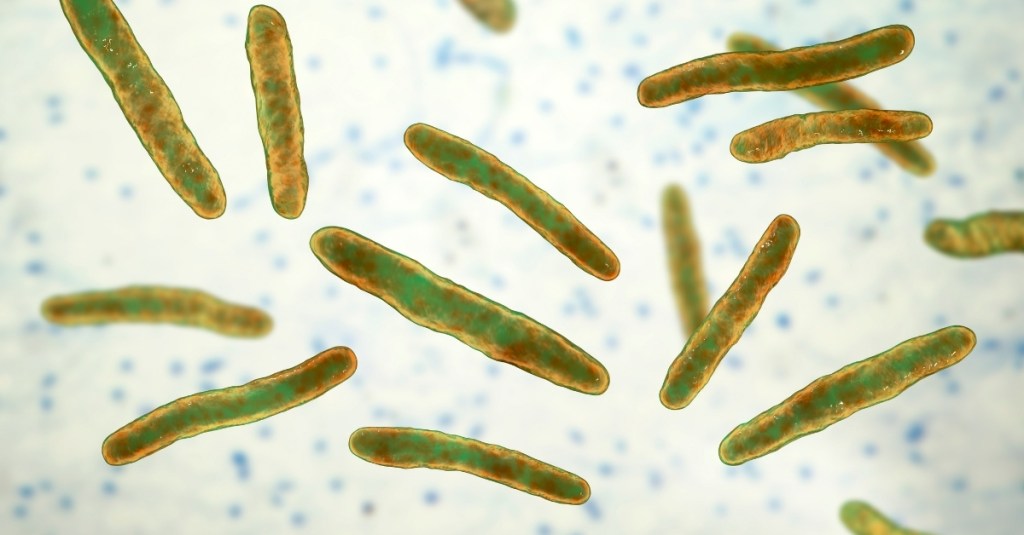 Leprosy in America Might Not Have Been Europe’s Fault After All