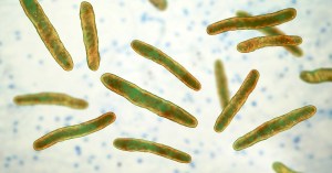 ancient-dna-reveals-america-had-its-own-brand-of-leprosy-before-europeans-showed-up