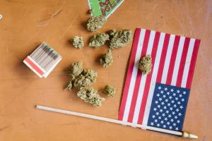 weed, american, flower, cannabis, marijuana, tariffs, law, united states