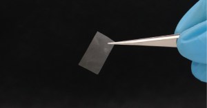 scientists-used-mushrooms-to-invent-a-plastic-thats-alive
